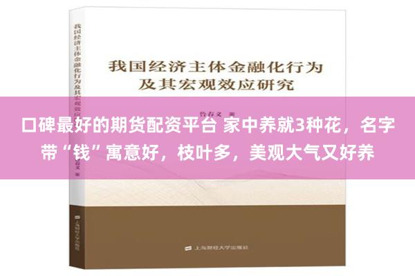 口碑最好的期货配资平台 家中养就3种花，名字带“钱”寓意好，枝叶多，美观大气又好养