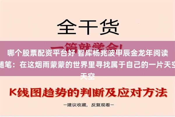 哪个股票配资平台好 智库杨兆波甲辰金龙年阅读随笔：在这烟雨蒙蒙的世界里寻找属于自己的一片天空