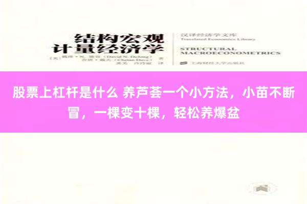 股票上杠杆是什么 养芦荟一个小方法，小苗不断冒，一棵变十棵，轻松养爆盆