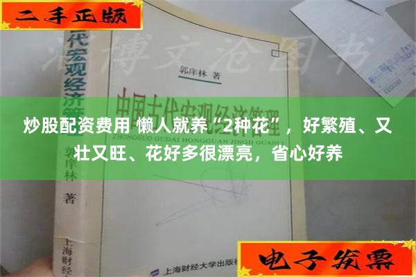 炒股配资费用 懒人就养“2种花”，好繁殖、又壮又旺、花好多很漂亮，省心好养