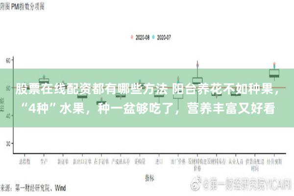 股票在线配资都有哪些方法 阳台养花不如种果，“4种”水果，种一盆够吃了，营养丰富又好看