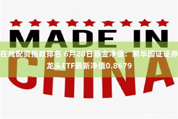 在线配资指数排名 6月20日基金净值：鹏华国证证券龙头ETF最新净值0.8679