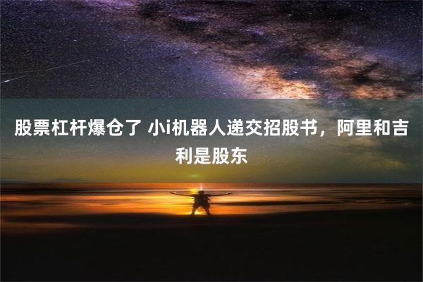 股票杠杆爆仓了 小i机器人递交招股书，阿里和吉利是股东