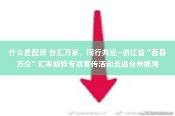 什么是配资 台汇万家，同行共远—浙江省“百县万企”汇率避险专项宣传活动走进台州临海