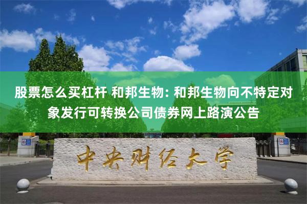 股票怎么买杠杆 和邦生物: 和邦生物向不特定对象发行可转换公司债券网上路演公告