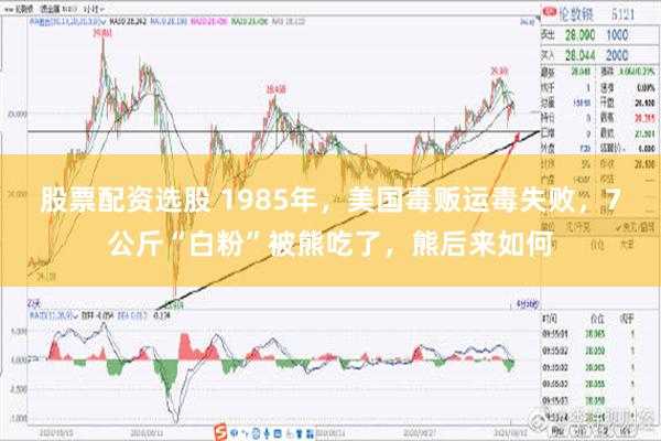 股票配资选股 1985年，美国毒贩运毒失败，7公斤“白粉”被熊吃了，熊后来如何