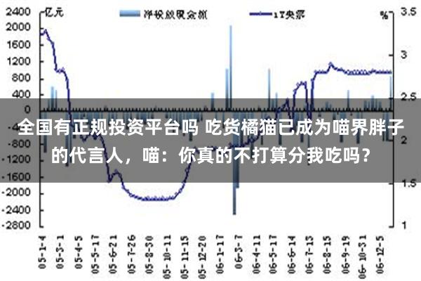 全国有正规投资平台吗 吃货橘猫已成为喵界胖子的代言人，喵：你真的不打算分我吃吗？