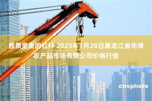 股票里面的杠杆 2025年1月28日黑龙江省华博农产品市场有限公司价格行情